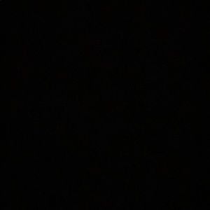 Meet your Posher, Irma